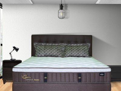 Spine Buddy (Full Set)